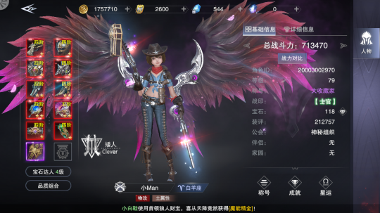 新神魔大陆手游哪个职业厉害（新神魔大陆职业攻略）