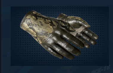 csgo手套价格排行（推荐五款千元以下的csgo手套）