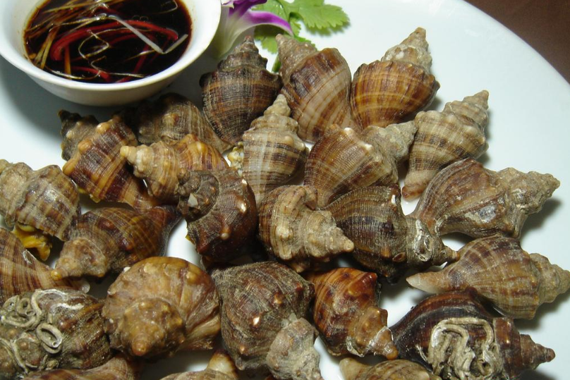 海螺的吃法哪个部位不能吃（食用海螺的注意事项有哪些）